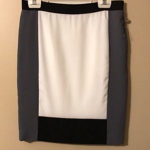 Narcisso Rodriguez: NWOT Color blocking skirt